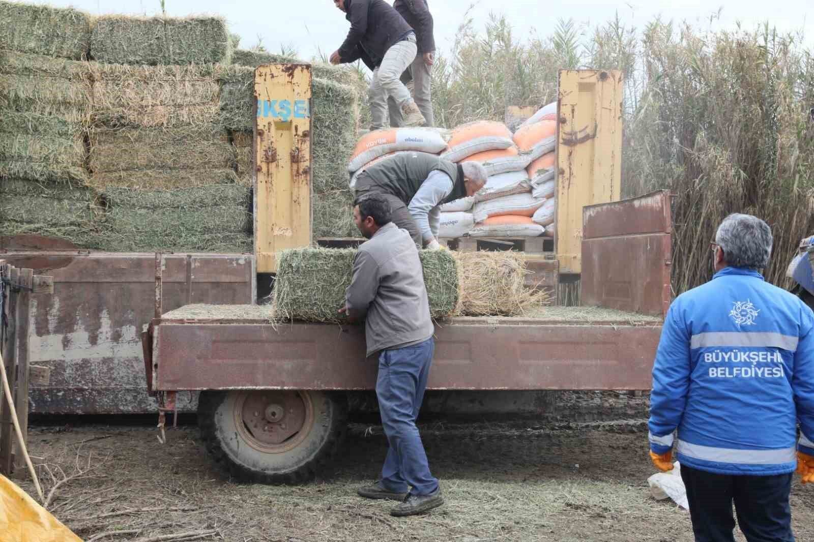 Başkan Çerçioğlu’ndan üreticiye yem ve yonca desteği