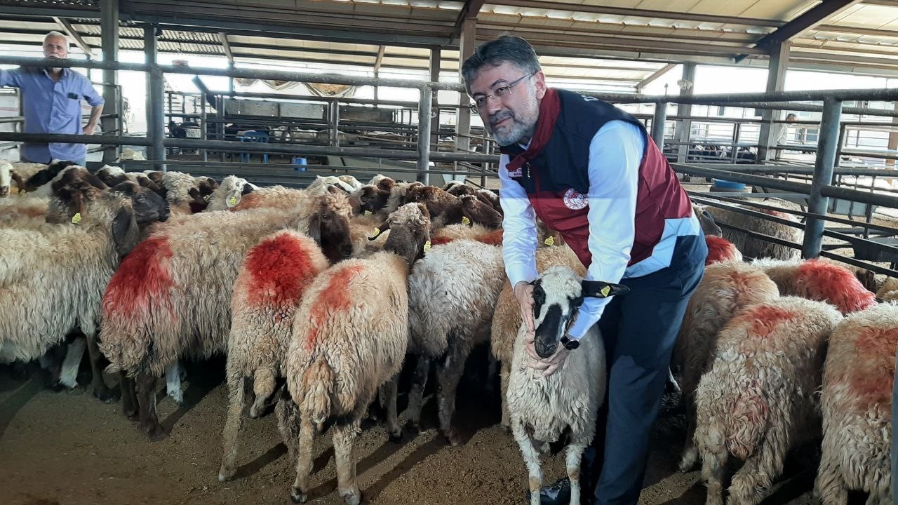 Depremde telef olan hayvanların yerine yenisi verildi