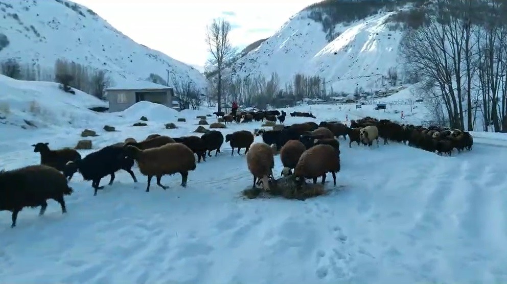 Kardan sonra besicilerin de zorlu mesaisi başladı