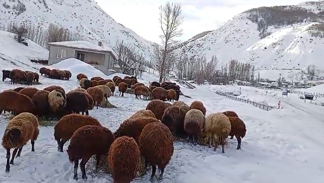 Kardan sonra besicilerin de zorlu mesaisi başladı