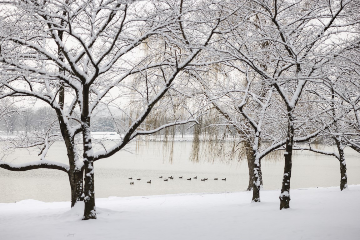 ABD’de etkili olan kutup soğuklarında can kaybı 59'a yükseldi