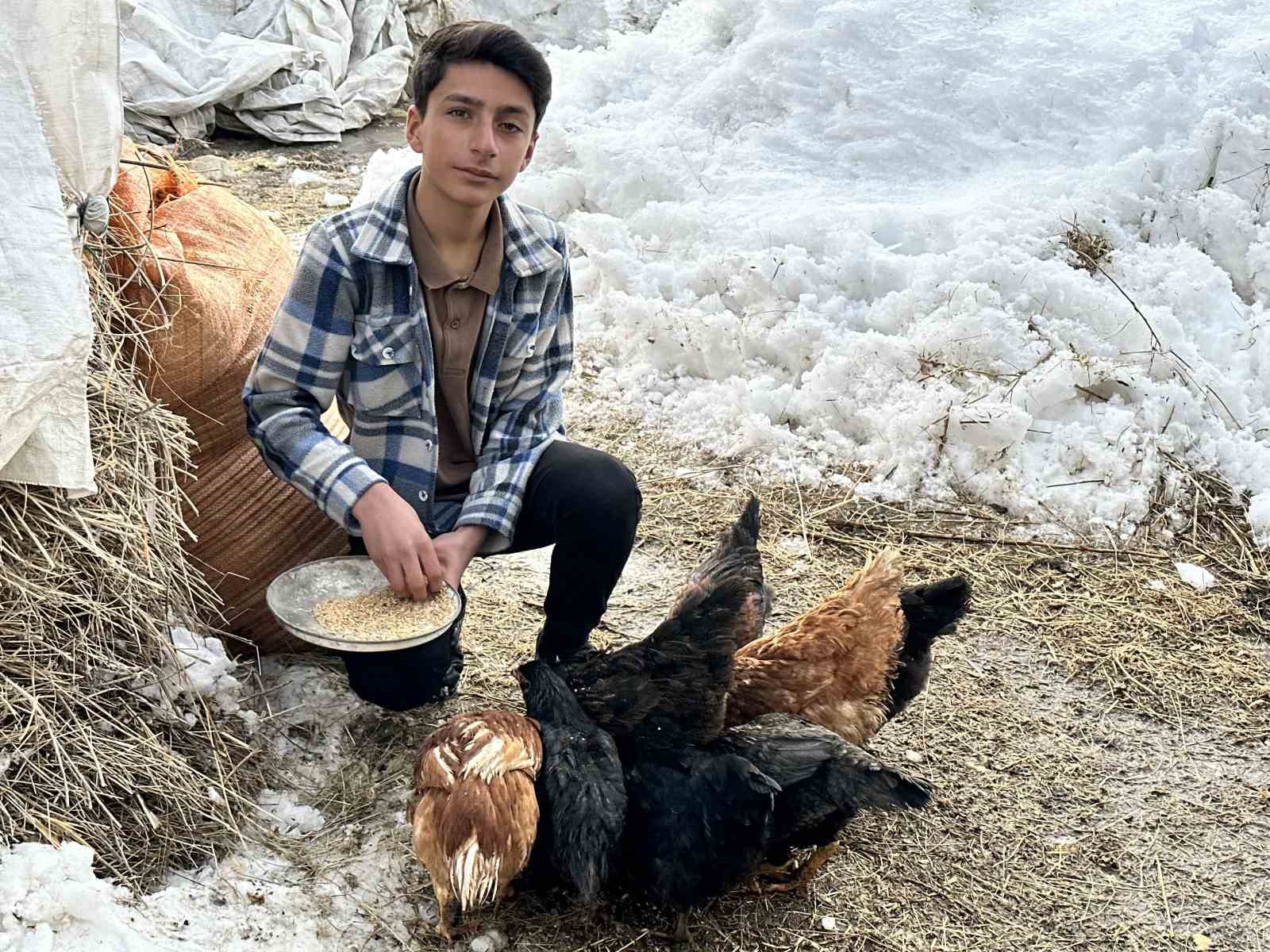 Yatak odasında civciv üretimi