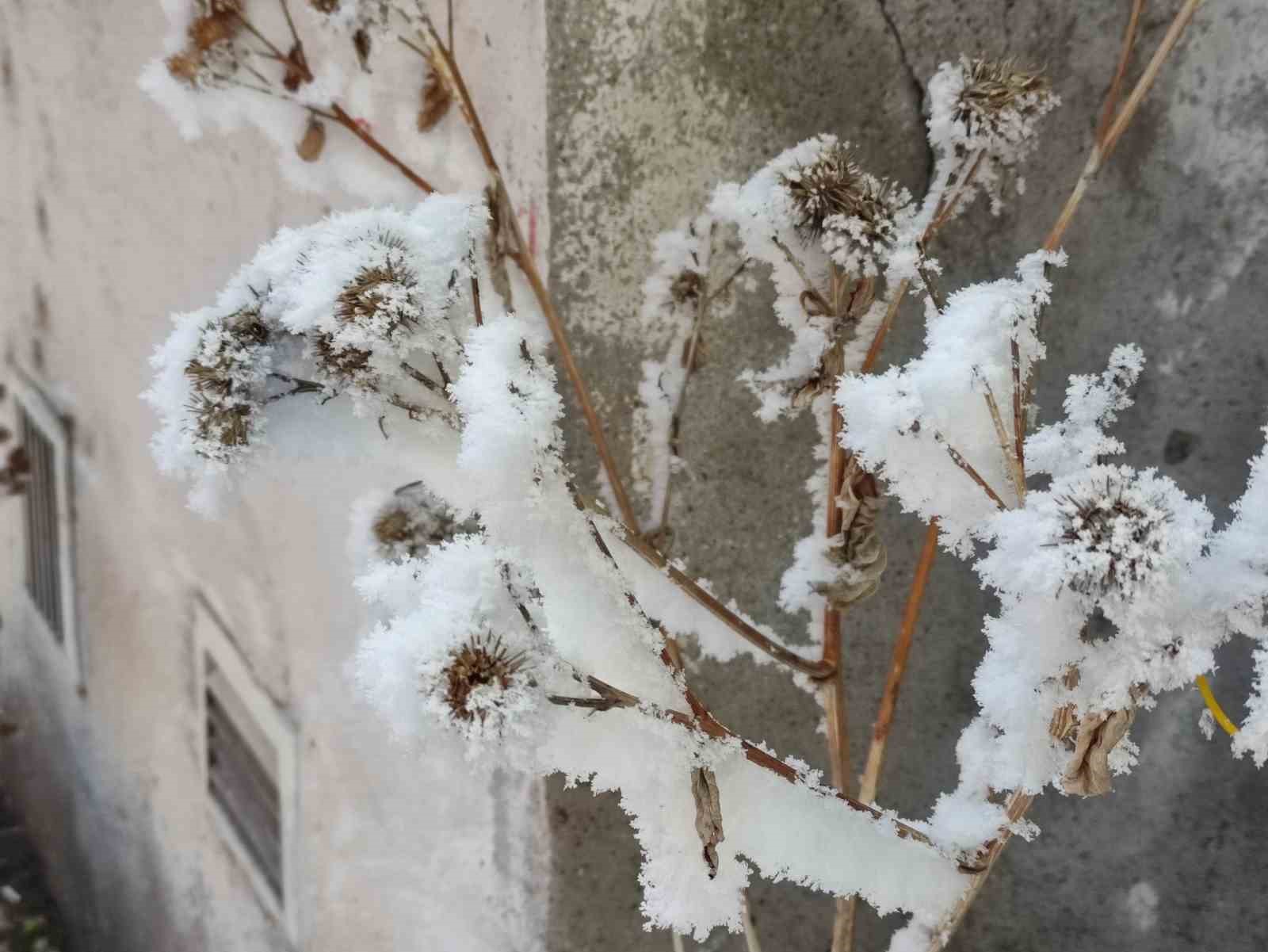 Ardahan’da Sibirya soğukları: Eksi 34