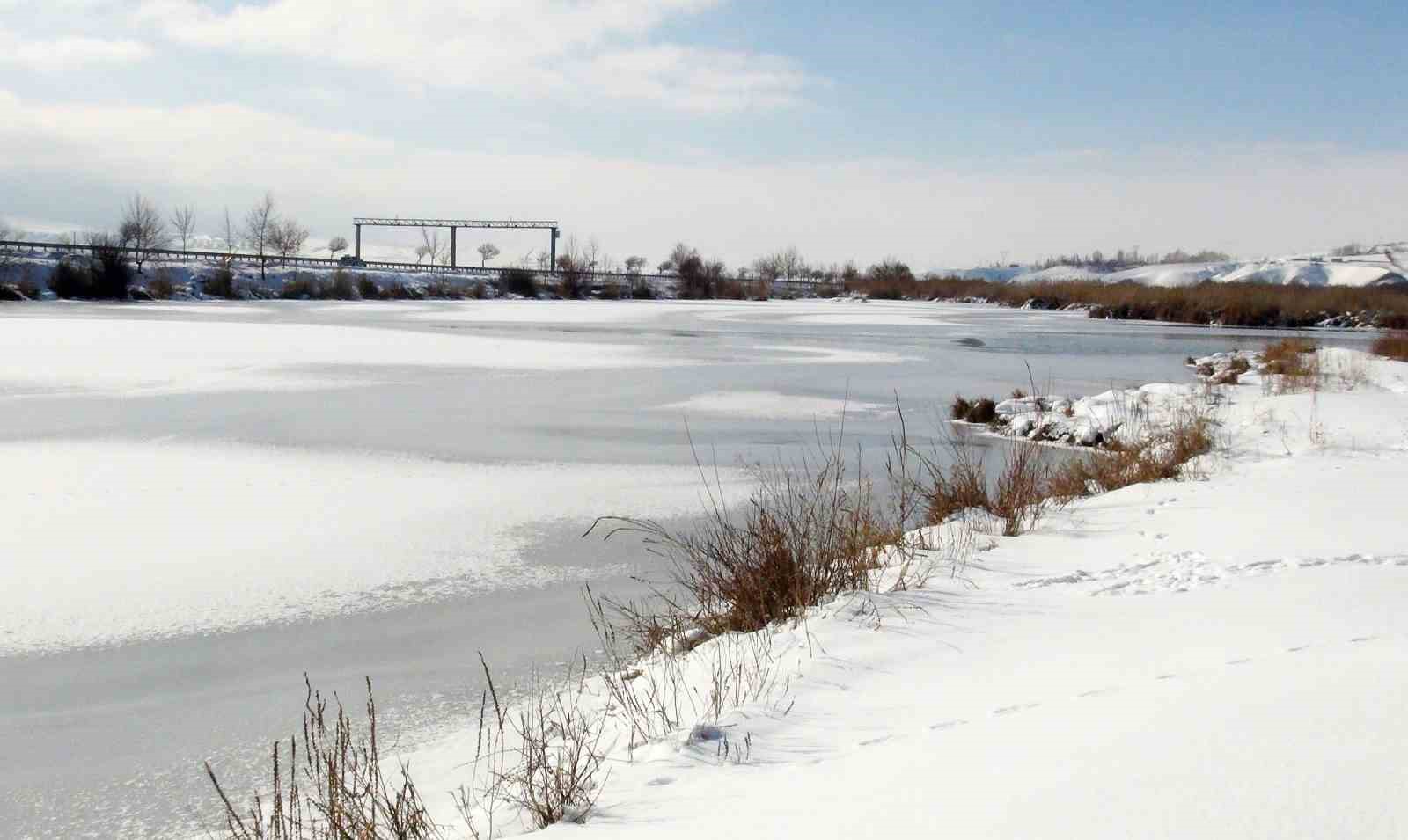 Kuş cenneti buz tuttu