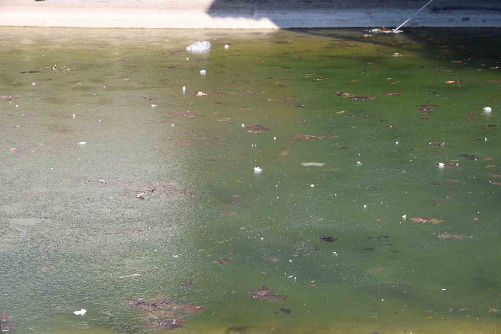 Elazığ buz kesti, süs havuzları dondu