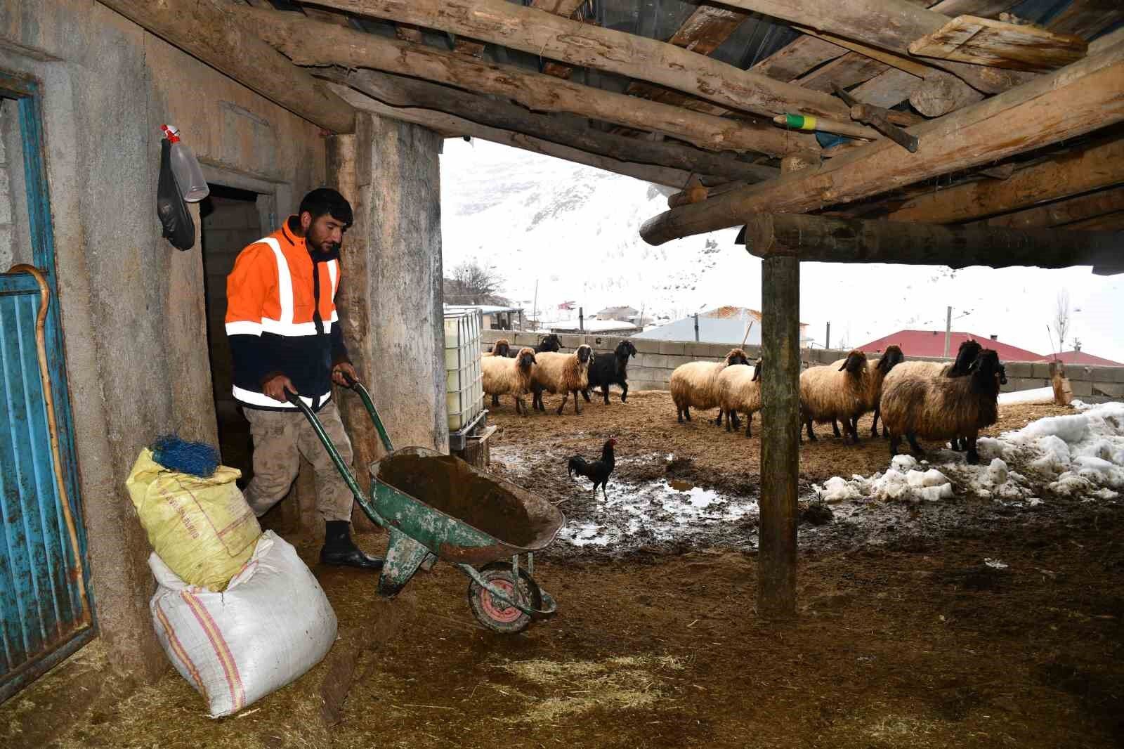 Beytüşşebap’ta besicilerin zorlu kış mesaisi sürüyor