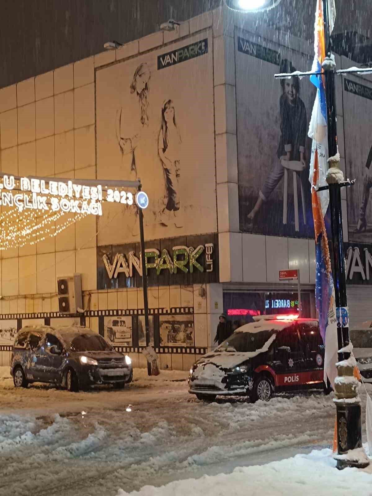 Van’da aşırı kar yağışına dayanamayan ağaç yola devrildi