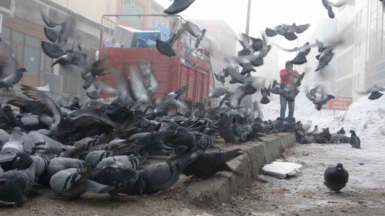 Aç kalan güvercinleri esnaf besliyor