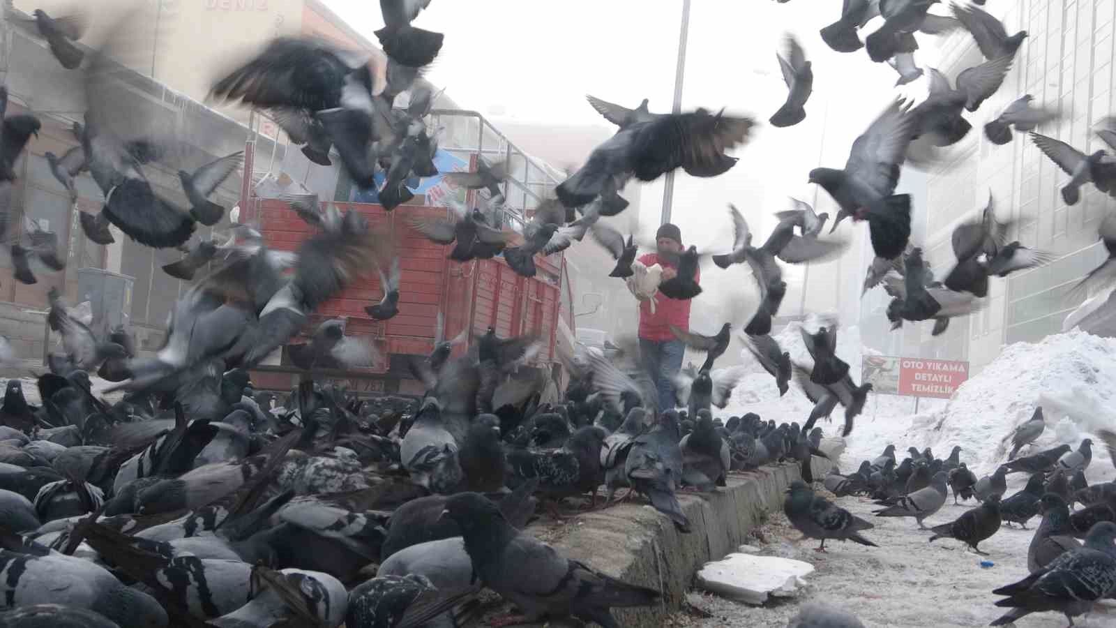 Aç kalan güvercinleri esnaf besliyor