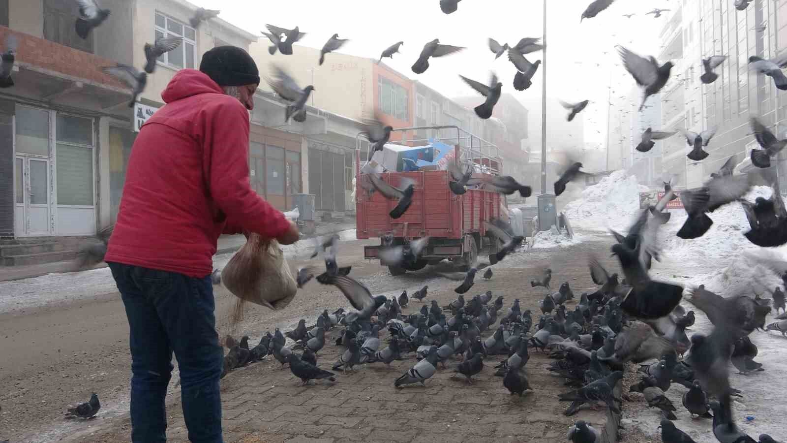 Aç kalan güvercinleri esnaf besliyor