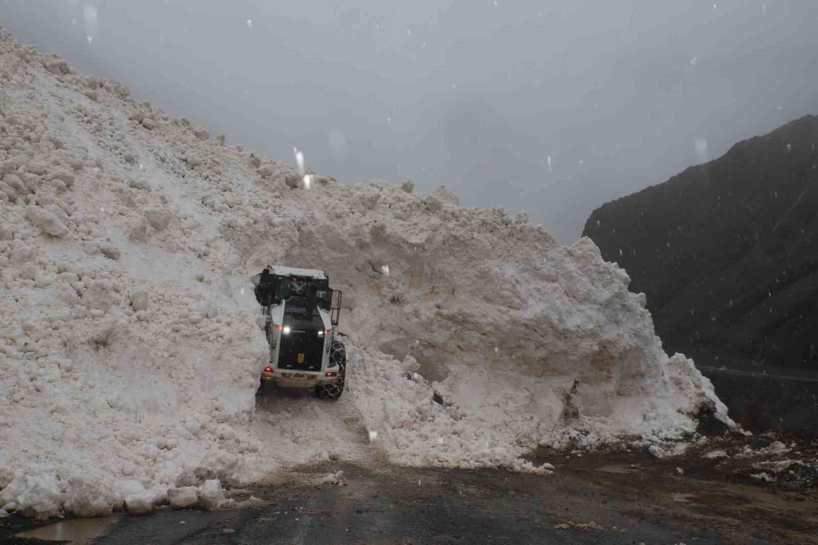 Hakkari-Çukurca kara yolu çığdan temizleniyor