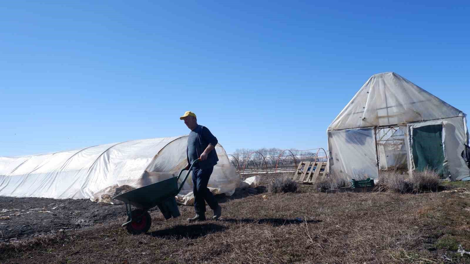 Ekim alanlarının azalması üreticileri endişelendiriyor