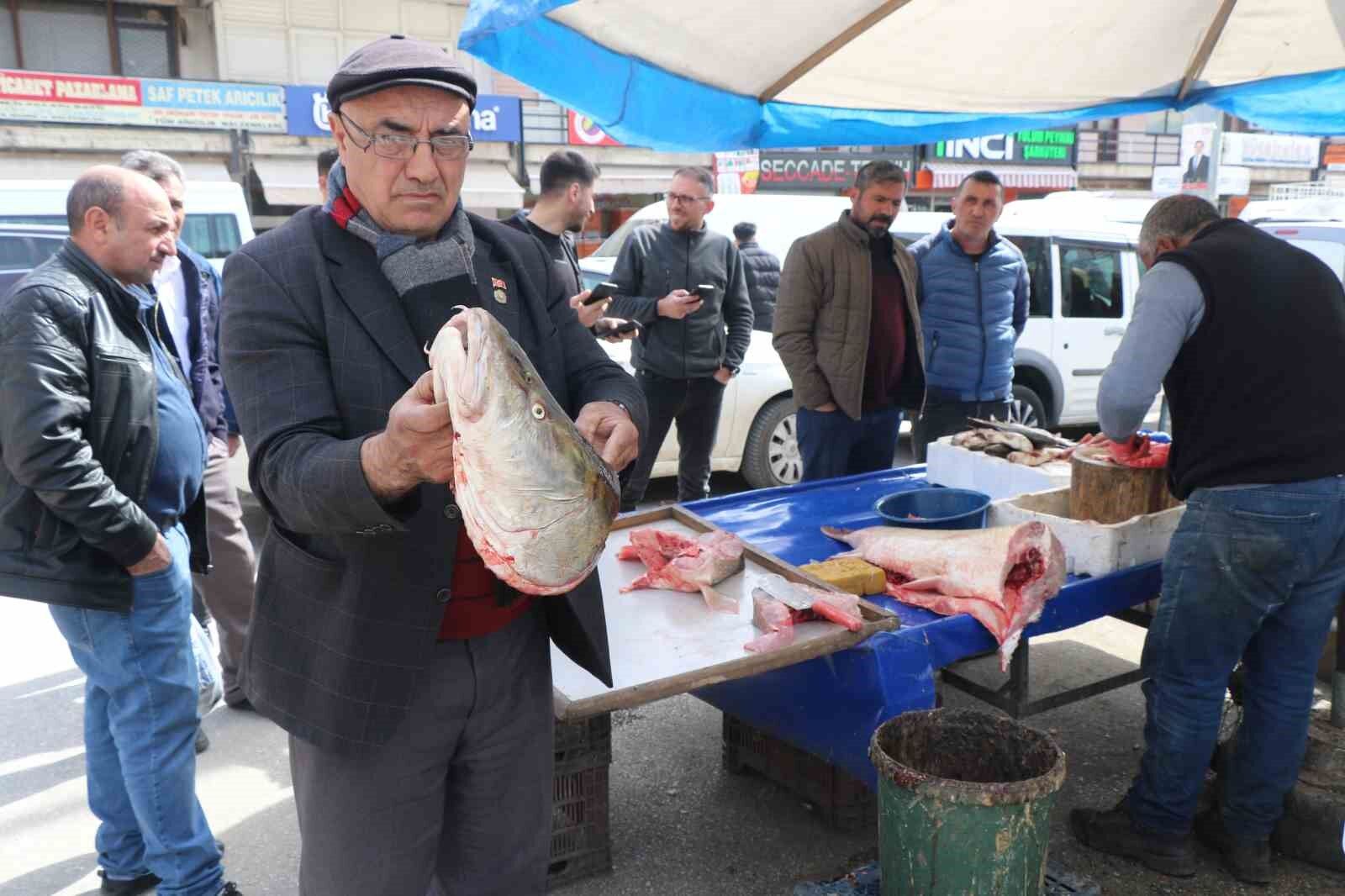 33 kiloluk dev balık tezgâhta alıcı buluyor