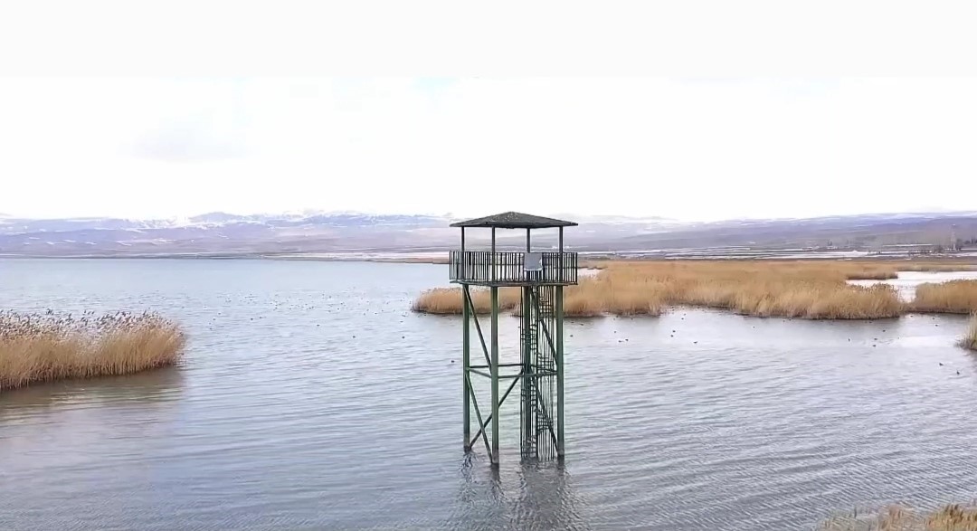 Erçek Gölü’nde su kaybı devam ediyor