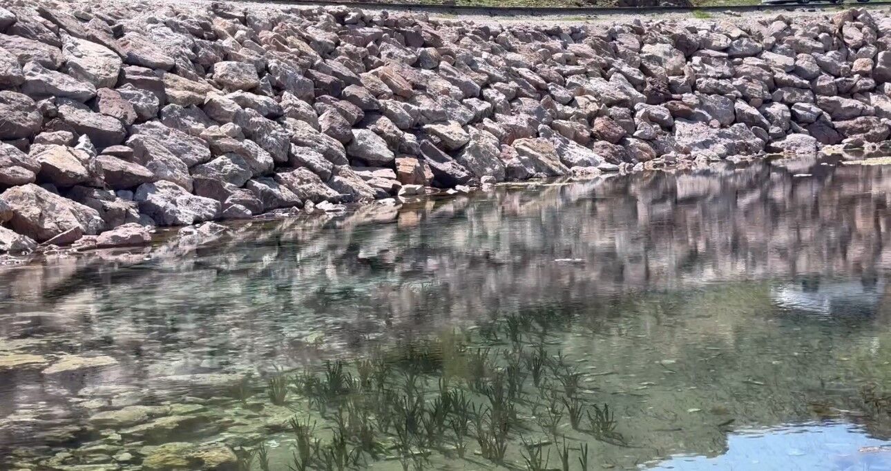 Yüksekova’da sürü halindeki yılanlar, Brezilya’nın ’Yılan Adası’nı andırıyor