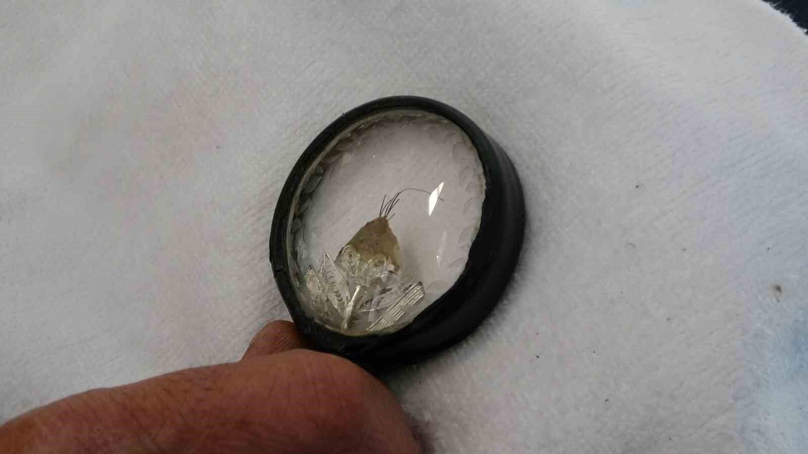 Tatvan’da Sakal-ı Şerif’i görenler duygusal anlar yaşadı