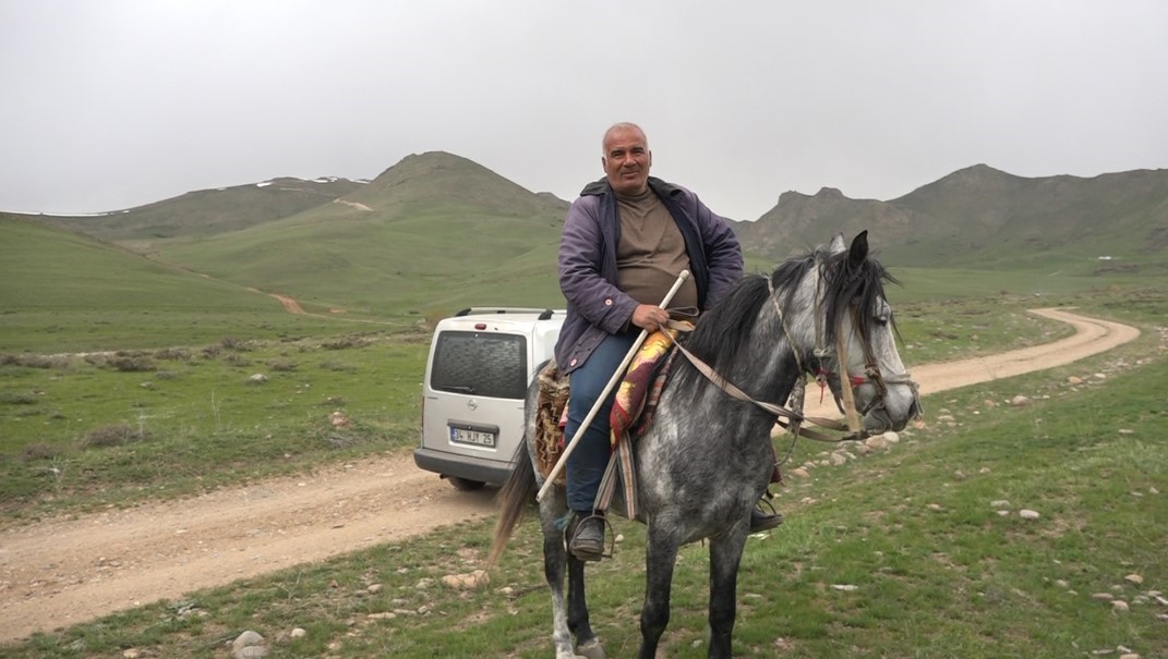 Erciş’te kenger bitkisine yoğun ilgi