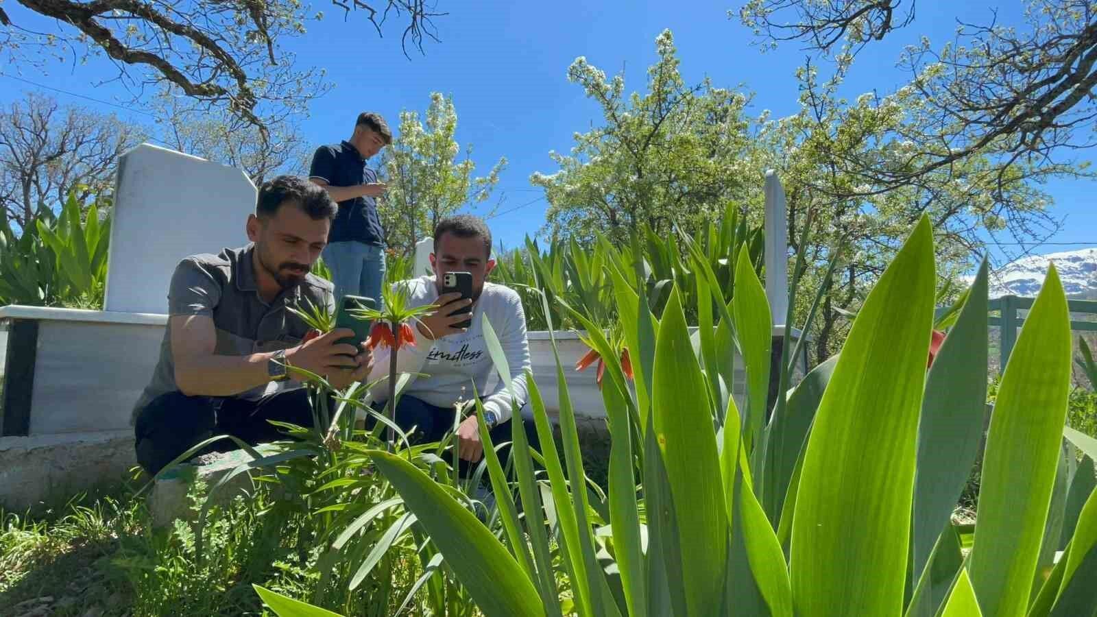 ‘Hüzün Çiçeği’ni koparanlara 244 bin 315 TL ceza