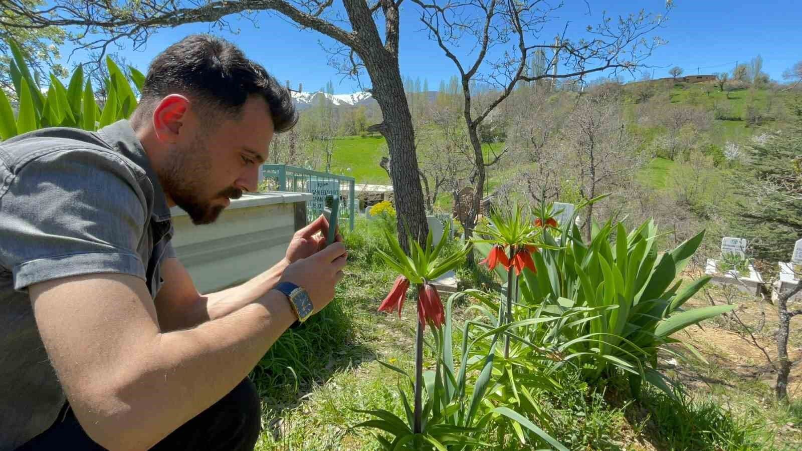 ‘Hüzün Çiçeği’ni koparanlara 244 bin 315 TL ceza