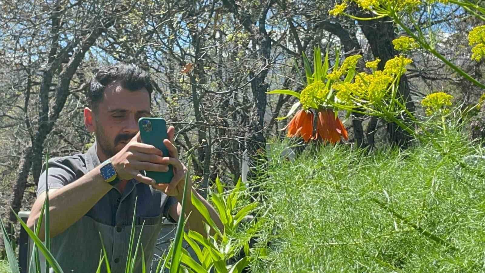 ‘Hüzün Çiçeği’ni koparanlara 244 bin 315 TL ceza