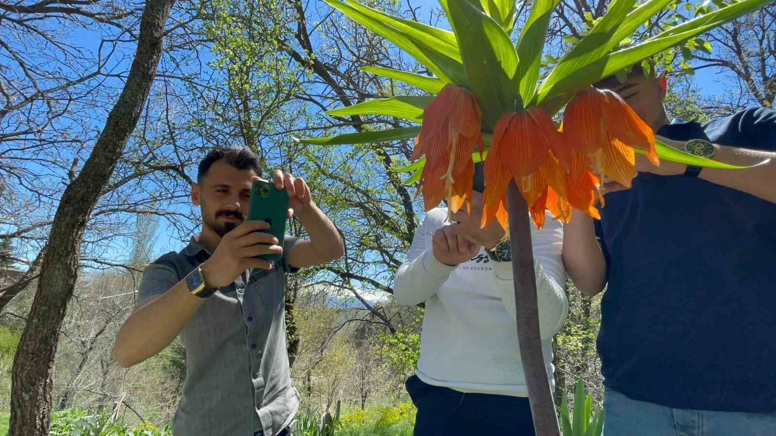 ‘Hüzün Çiçeği’ni koparanlara 244 bin 315 TL ceza