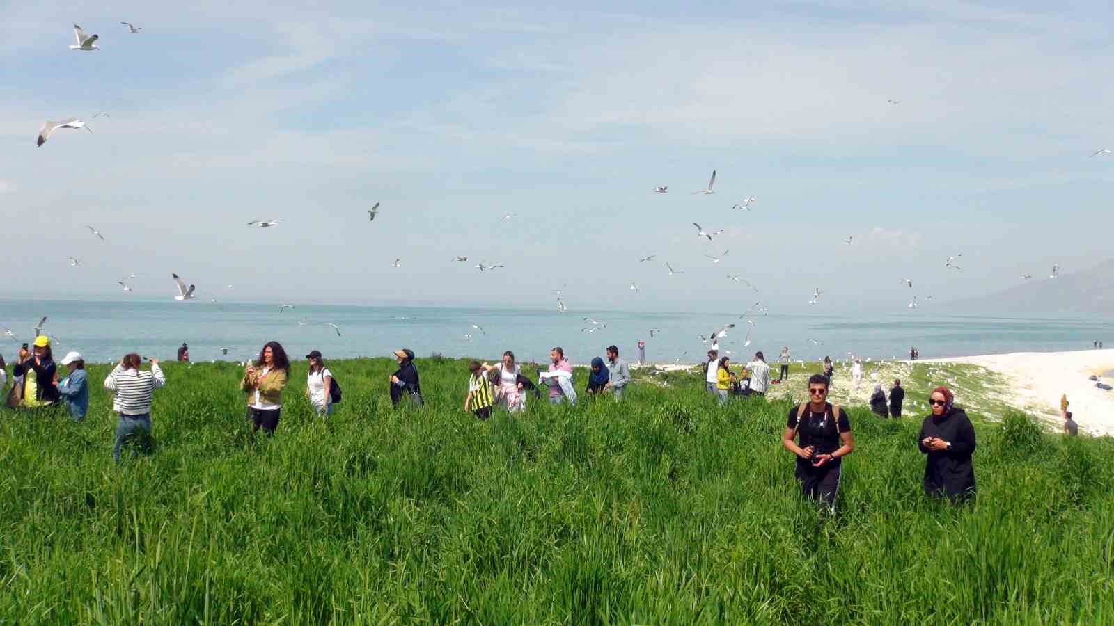 Van Gölü’nün incisi Çarpanak Adası’nın göz kamaştıran güzelliği
