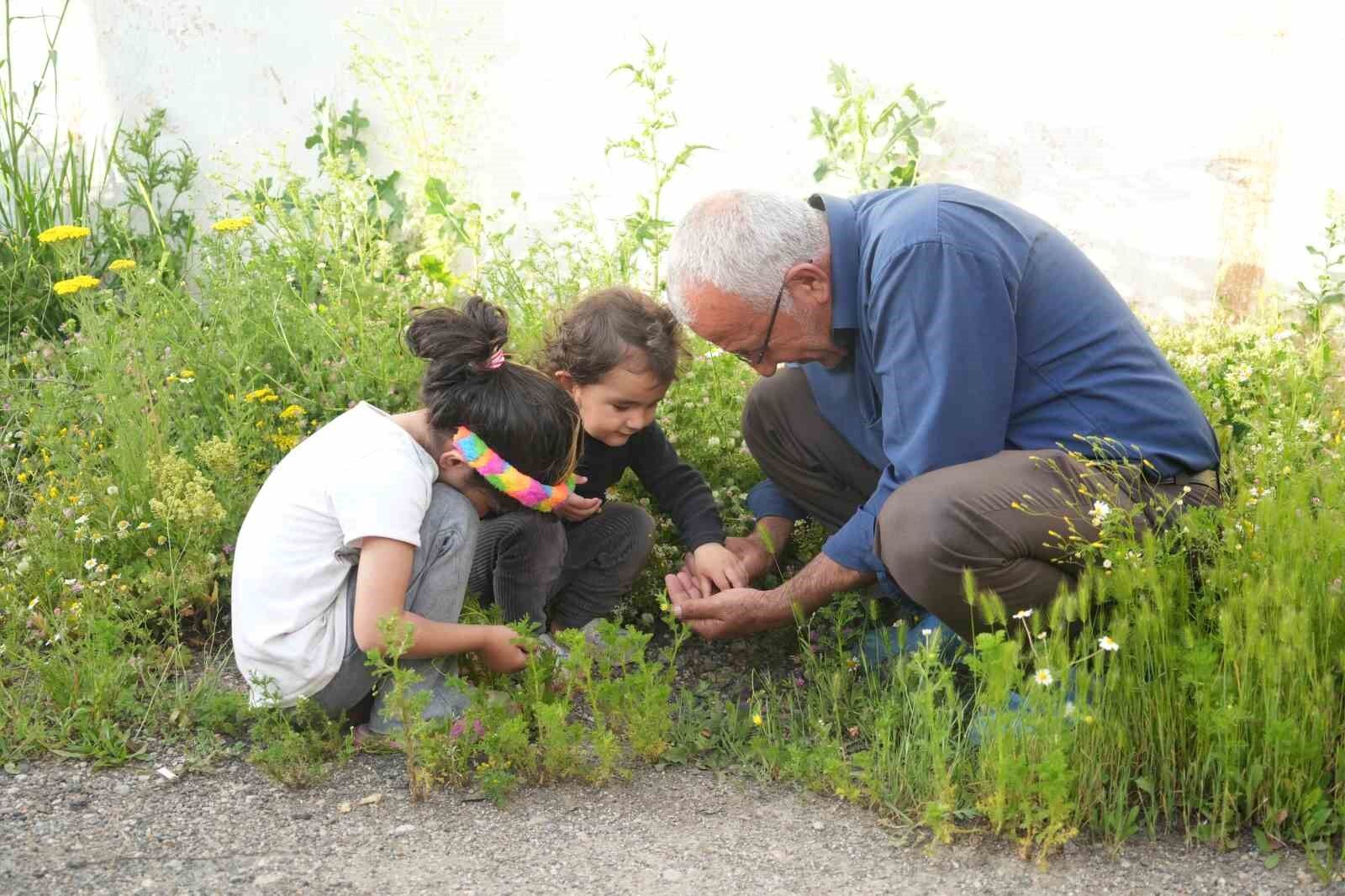 Muş’ta yağan bilinmeyen cisimler şaşırttı