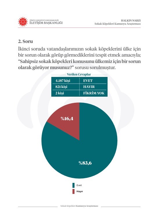 İletişim Başkanlığından sokak köpekleri kamuoyu araştırması