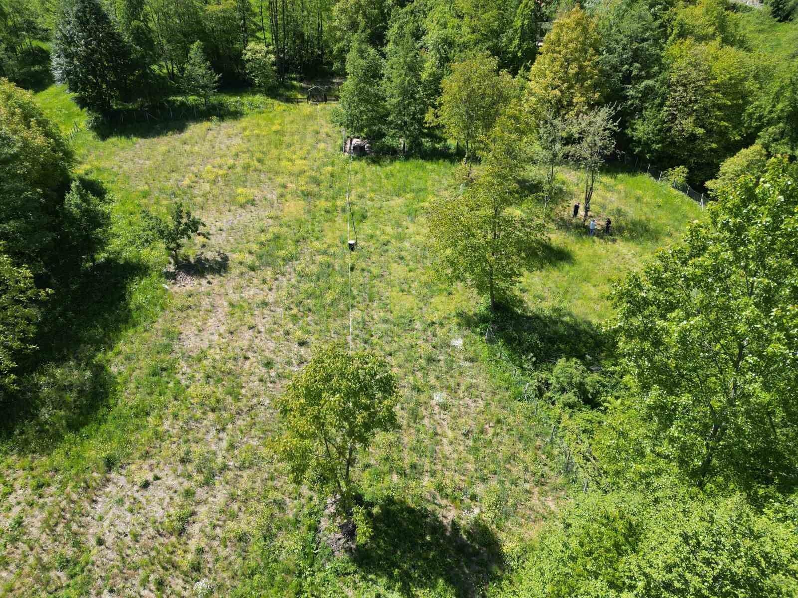 Fındığa ve çaya alternatif oldu: Kilosu bin 500 TL’den satılıyor