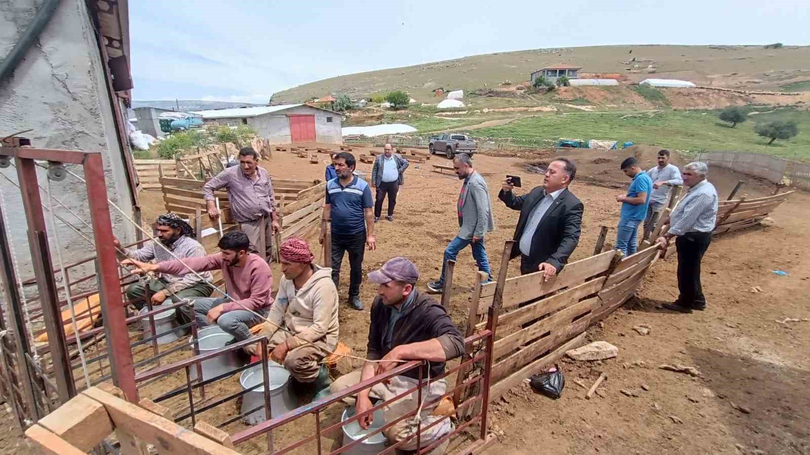 Hayvan yetiştiricilerinin zorlu mesaisi