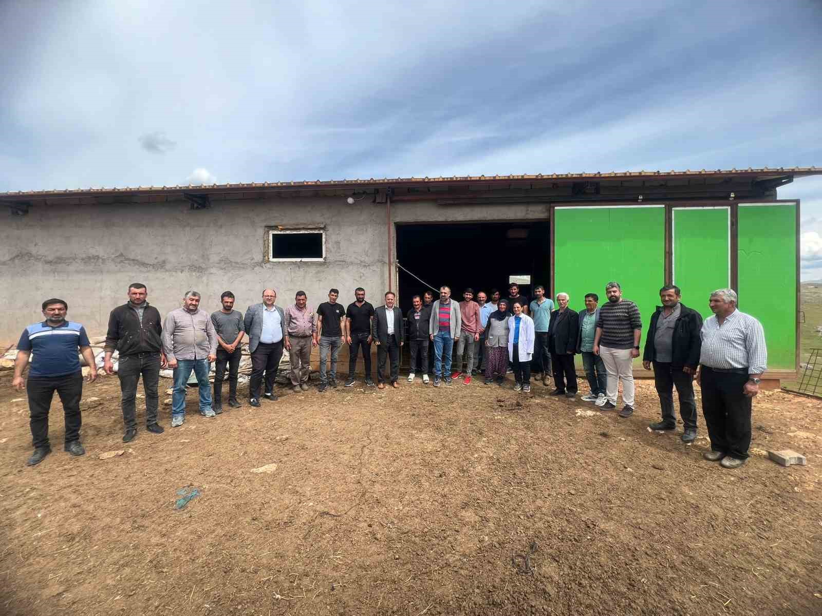 Hayvan yetiştiricilerinin zorlu mesaisi