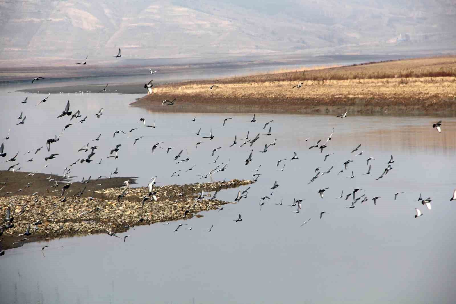 ’Kuraklığın en net fotoğrafı’ yerini bolluğun en net fotoğrafına bıraktı