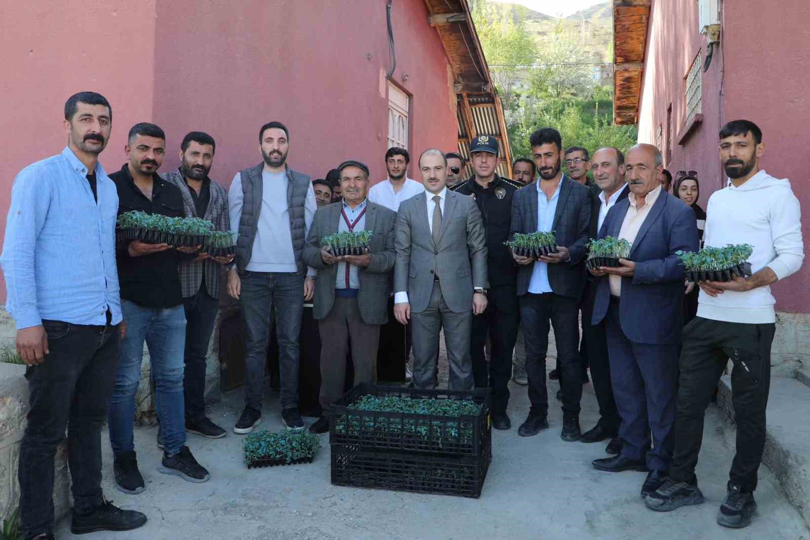 Başkale’de domates fidesi dağıtıldı