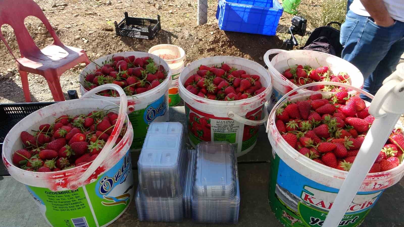 5 dönümle başladı siparişlere yetişemiyor