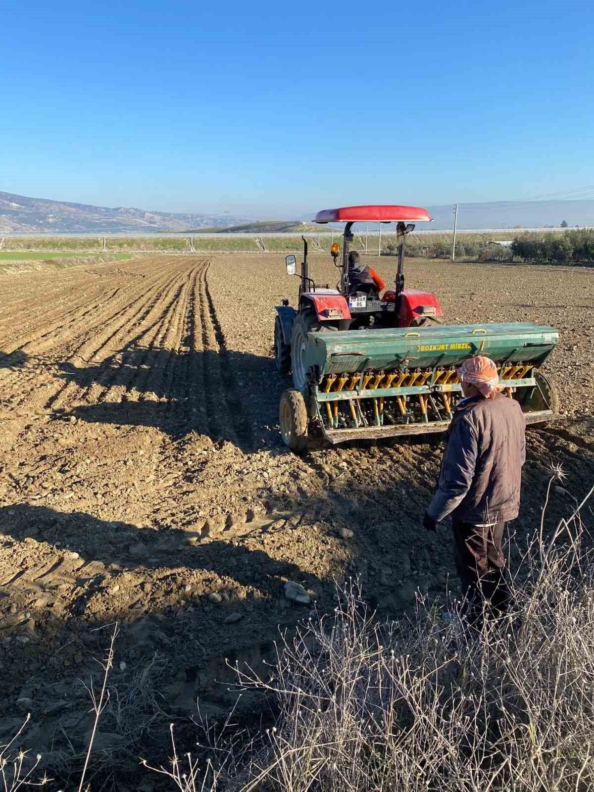 Arpada üç çeşit birden çiftçinin yüzünü güldürdü