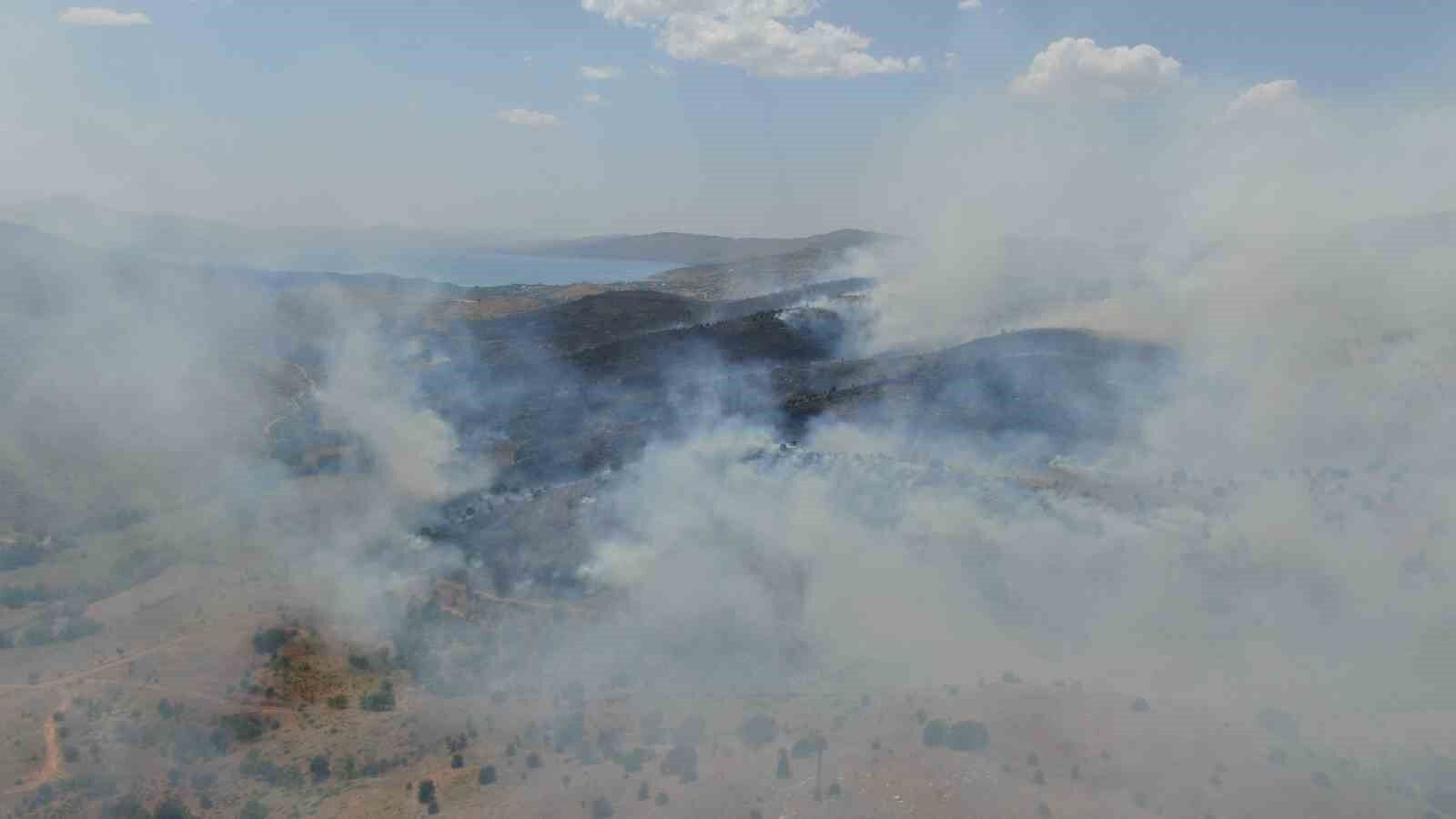 Elazığ’da orman yangını: Ekiplerin havadan ve karadan müdahalesi sürüyor