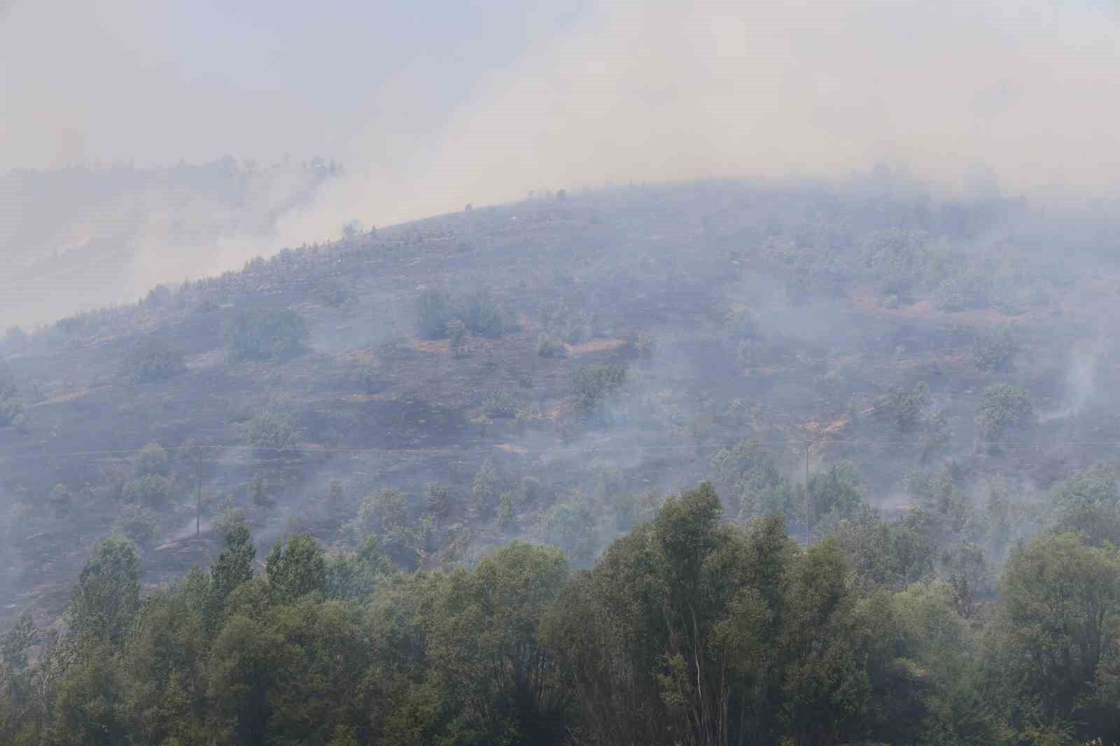 Elazığ’da orman yangını: Ekiplerin havadan ve karadan müdahalesi sürüyor