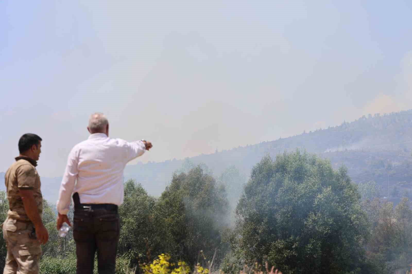 Elazığ’da orman yangını: Ekiplerin havadan ve karadan müdahalesi sürüyor