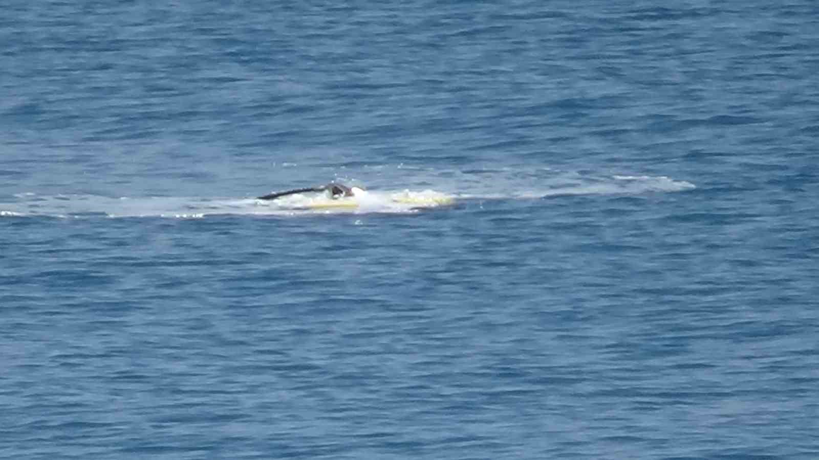 Van Gölü’nde kaybolan şahıs Rov ve Sonar cihazları ile aranıyor