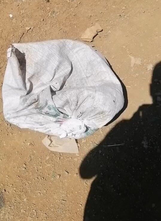 Elazığ’da çuvala konulan köpek ölüme terk edildi