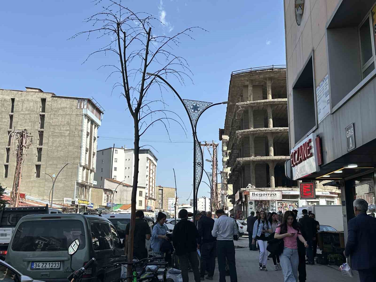 Yüksekova’da ilginç görüntü: Yolun bir tarafındaki ağaçlar kurudu, diğer tarafındakiler yeşillendi