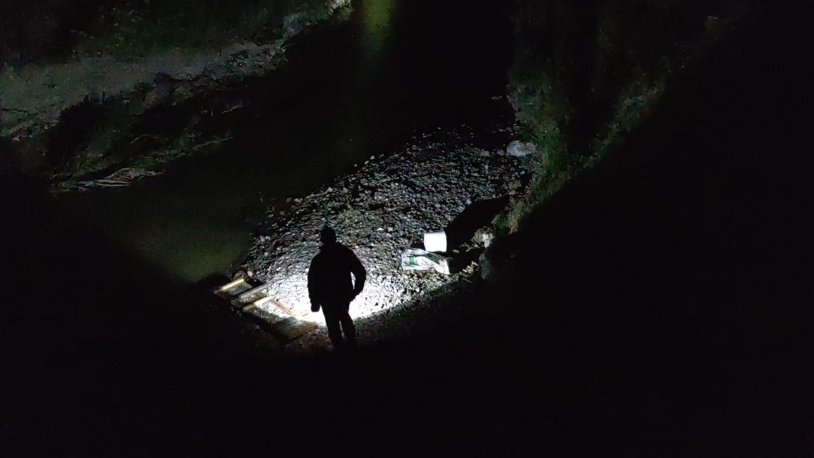 İnci kefali için gece denetimi