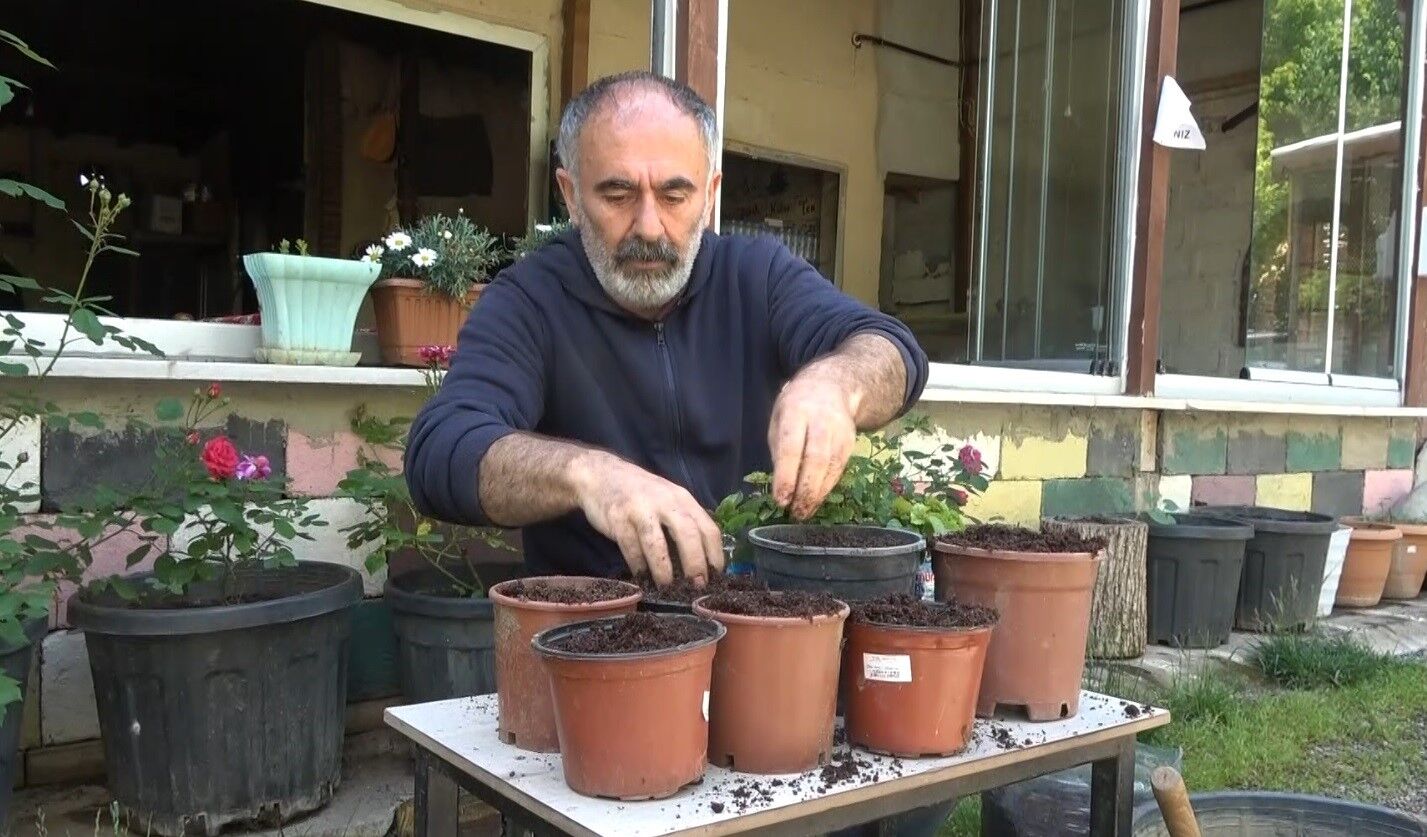 Dem atıkları çiçeklere can verdi