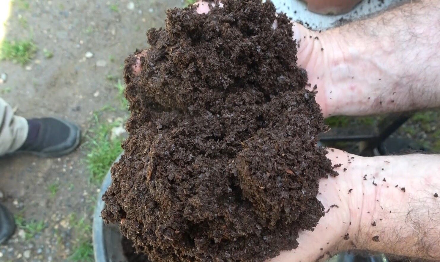 Dem atıkları çiçeklere can verdi