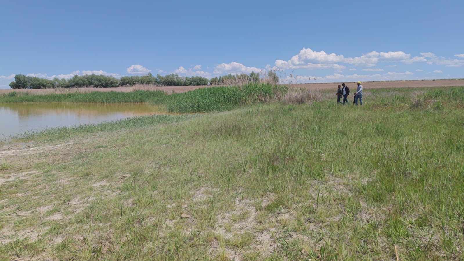 Kuraklık nedeniyle kuruyan göl yeniden doldu