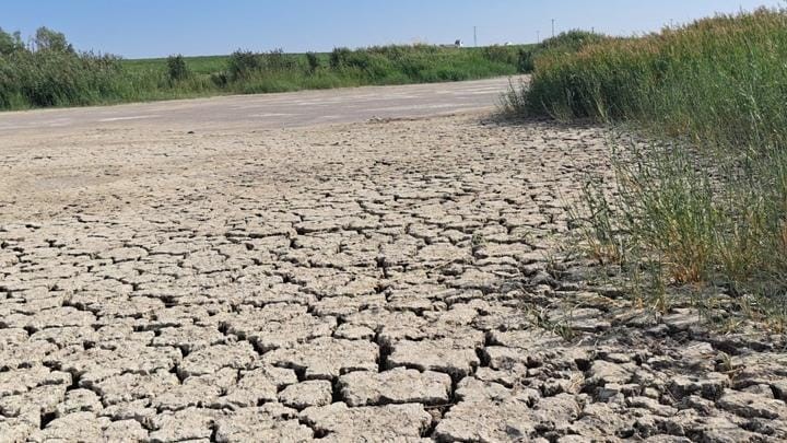 Kuraklık nedeniyle kuruyan göl yeniden doldu