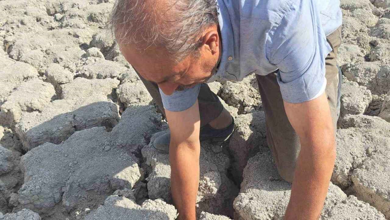 Kuraklık nedeniyle kuruyan göl yeniden doldu