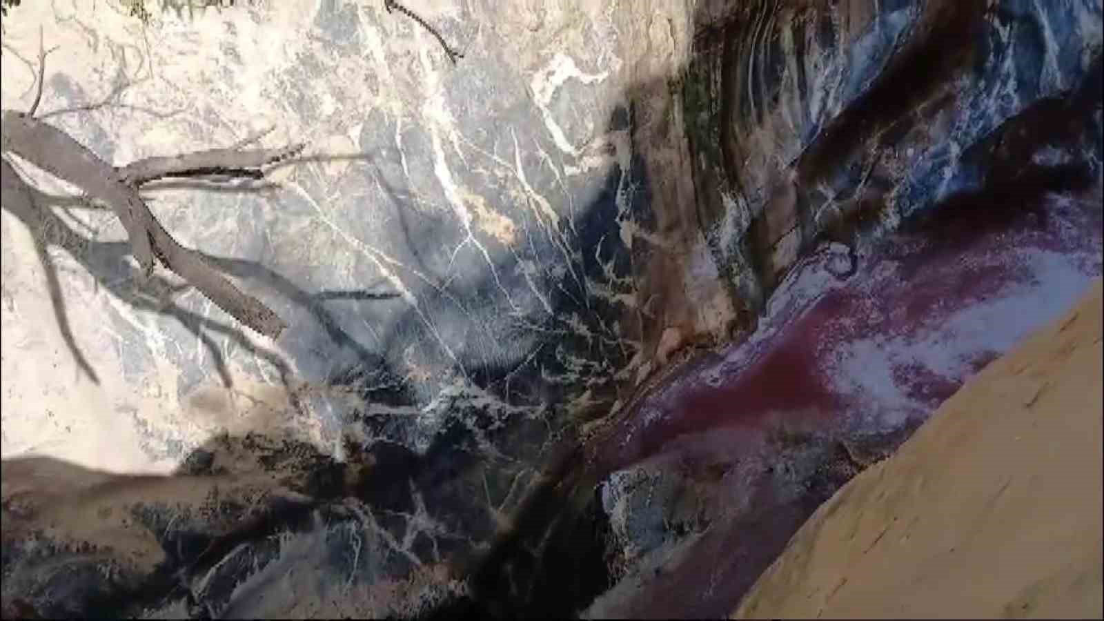 Keban’da balık işleme fabrikasının atıklarının arıtılmadan çaya döküldüğü iddiası