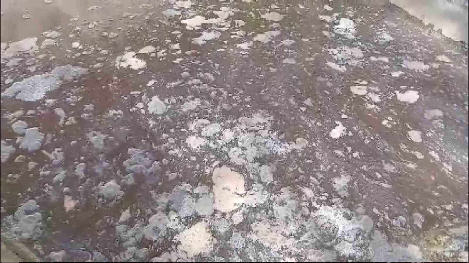 Keban’da balık işleme fabrikasının atıklarının arıtılmadan çaya döküldüğü iddiası