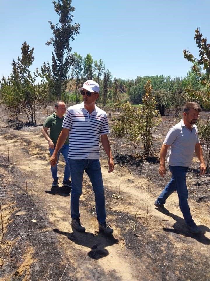 Çal’daki yangının ardından zarar tespit çalışmalarına başlandı